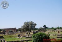 Baia_degli_infreschi_20_maggio2018_00016
