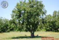 Baia_degli_infreschi_20_maggio2018_00042