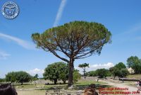 Baia_degli_infreschi_20_maggio2018_00099