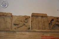 Baia_degli_infreschi_20_maggio2018_00108