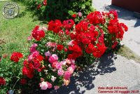Baia_degli_infreschi_20_maggio2018_00115