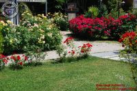 Baia_degli_infreschi_20_maggio2018_00116