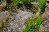 Baia_degli_infreschi_20_maggio2018_00158