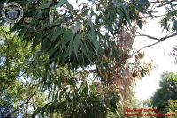 Baia_degli_infreschi_20_maggio2018_00200