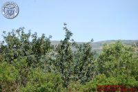 Baia_degli_infreschi_20_maggio2018_00205