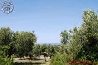 Baia_degli_infreschi_20_maggio2018_00209