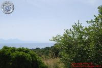 Baia_degli_infreschi_20_maggio2018_00214