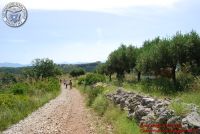 Baia_degli_infreschi_20_maggio2018_00219
