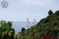 Baia_degli_infreschi_20_maggio2018_00228