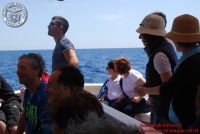 Baia_degli_infreschi_20_maggio2018_00333