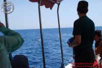 Baia_degli_infreschi_20_maggio2018_00334