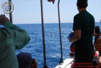 Baia_degli_infreschi_20_maggio2018_00335
