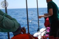 Baia_degli_infreschi_20_maggio2018_00336