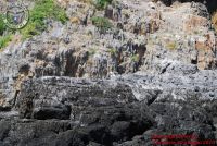 Baia_degli_infreschi_20_maggio2018_00338