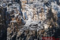 Baia_degli_infreschi_20_maggio2018_00339