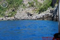 Baia_degli_infreschi_20_maggio2018_00340