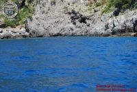 Baia_degli_infreschi_20_maggio2018_00341