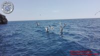 Baia_degli_infreschi_20_maggio2018_00386