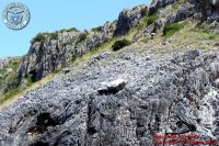 Baia_degli_infreschi_20_maggio2018_00444