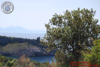 Baia_degli_infreschi_20_maggio2018_00460