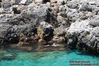 Baia_degli_infreschi_20_maggio2018_00486