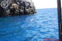 Baia_degli_infreschi_20_maggio2018_00495