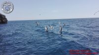 Baia_degli_infreschi_20_maggio2018_00509