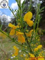 Image00012
