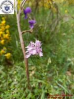 Image00014