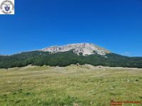 2025-07-07_00015
