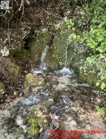 Image00061