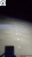 2025-01-26_00001