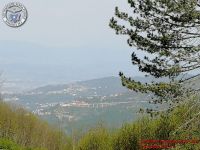 Image00018