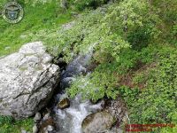Image00051