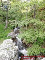 Image00053