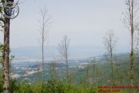 Image00059