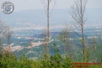 Image00060