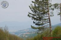 Image00096