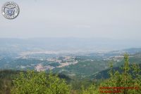 Image00098