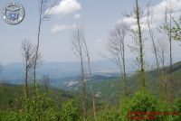 Image00105