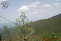 Image00110