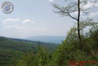 Image00113