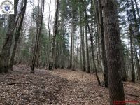 1980-01-01_00024