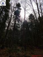1980-01-01_00029