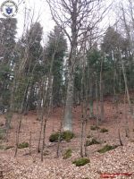 1980-01-01_00042