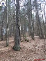 1980-01-01_00056