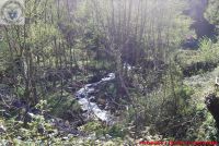 Image00046