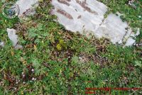 Image00120