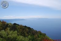 Image00198